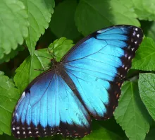 Préserver la nature